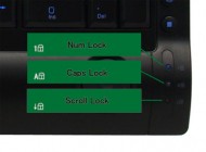 サイズ　冷静と情熱のキーボード ブラック　SCKB08-LED-BK