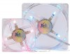 サイズ【Xclio】8cm/12cm　256COLOR FAN